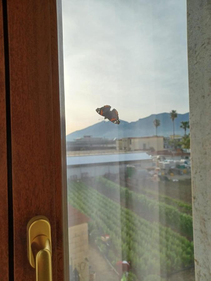Bed and Breakfast Domus In Fonte Scafati Exterior foto